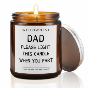 WILLOWNEST - Dad Please Light This Candle When You Fart Lavender Aromatic Candle